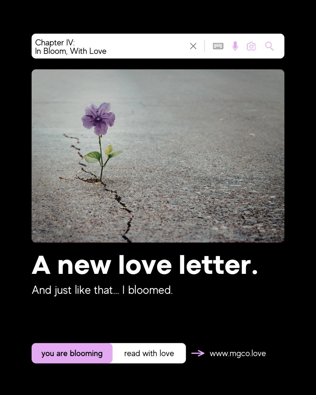 Chapter IV: In Bloom, With Love