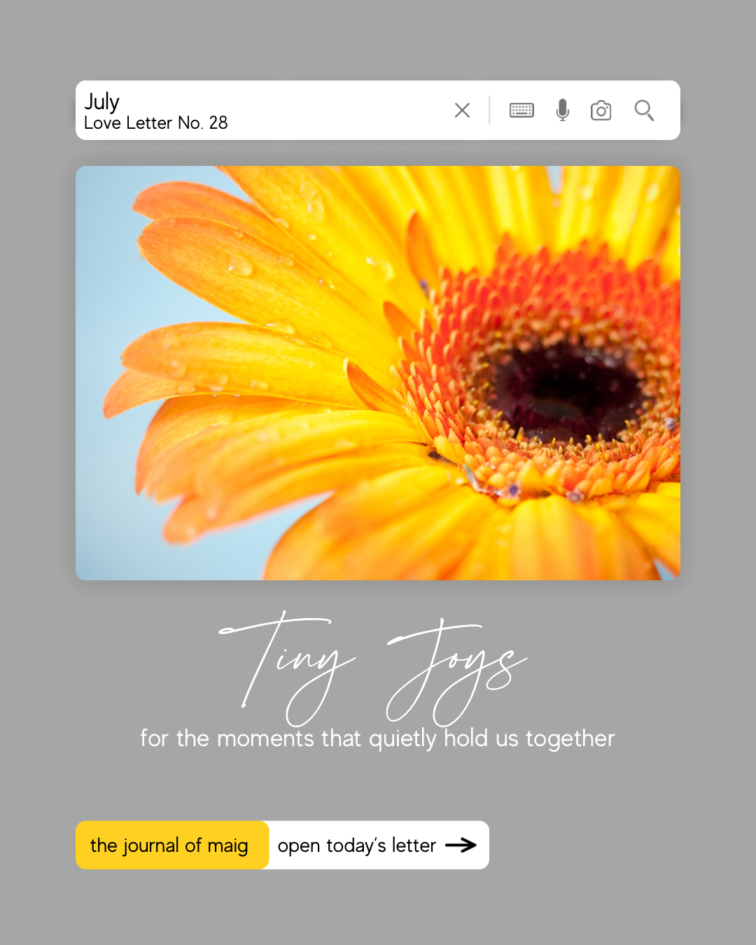 Tiny Joys