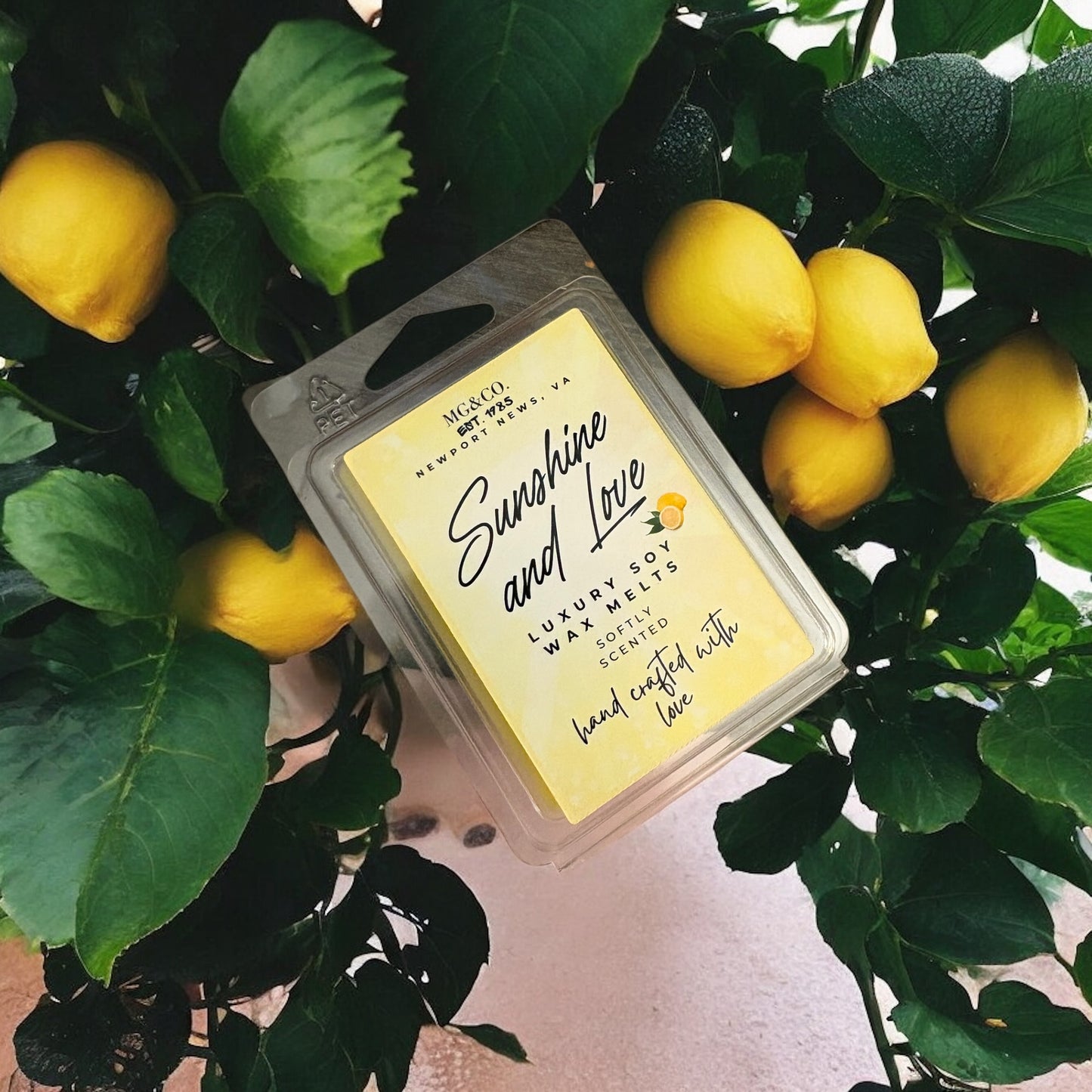 6 Count Wax Melts