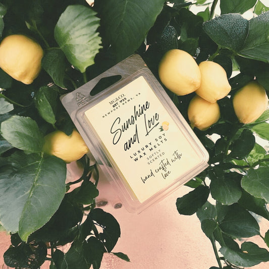6 Count Wax Melts
